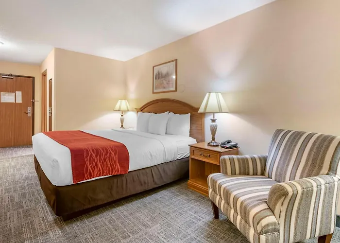 Surestay Plus Hotel By Best Western Buffalo